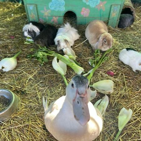 فيلا Sejour A La Ferme Jouques المظهر الخارجي الصورة