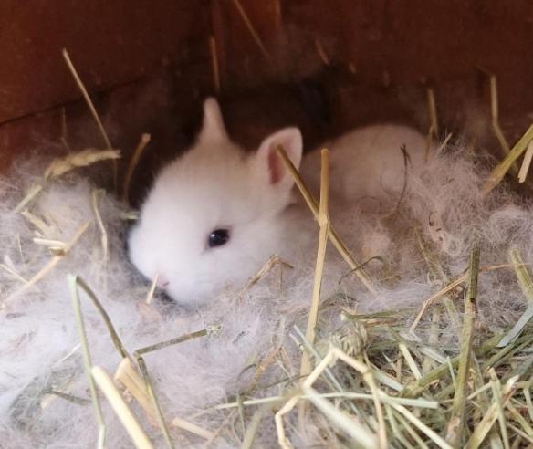 فيلا Sejour A La Ferme Jouques المظهر الخارجي الصورة