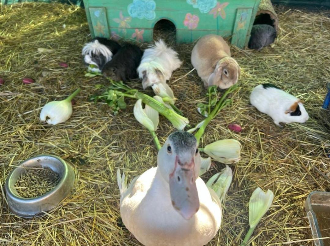 فيلا Sejour A La Ferme Jouques المظهر الخارجي الصورة