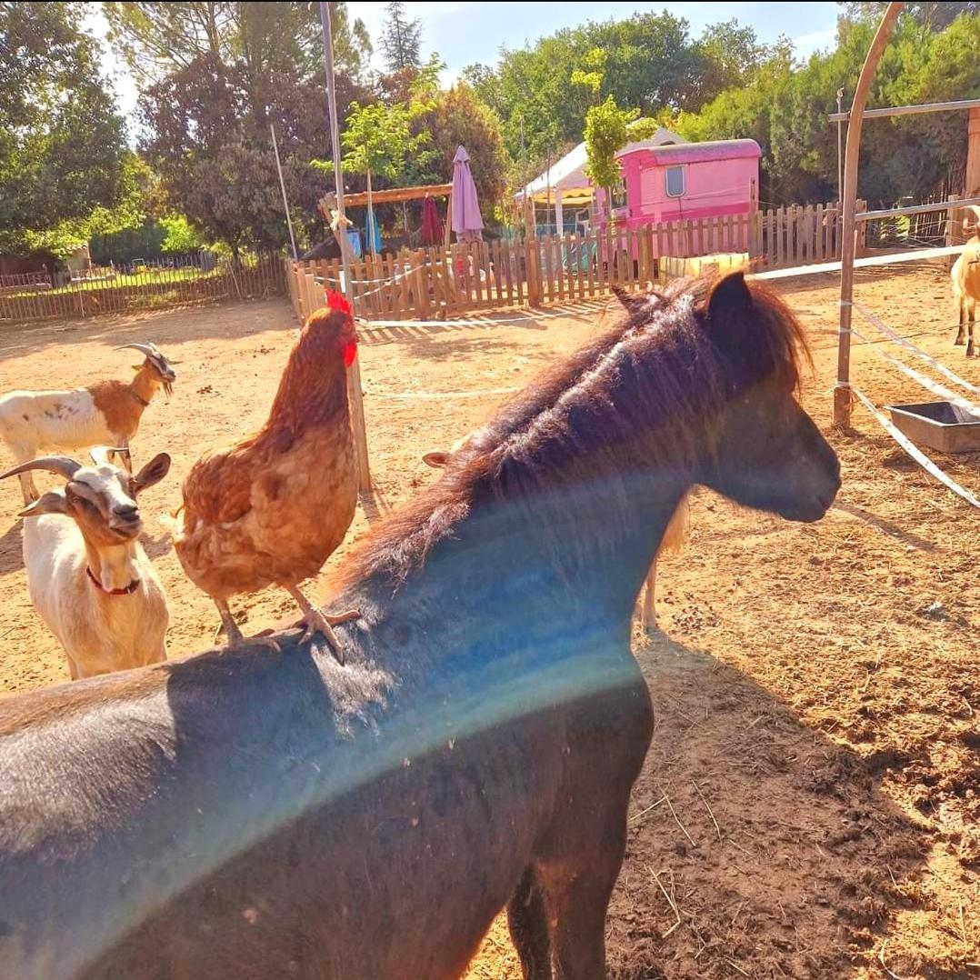 فيلا Sejour A La Ferme Jouques المظهر الخارجي الصورة